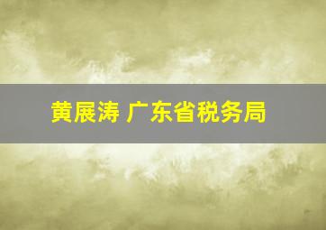 黄展涛 广东省税务局